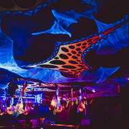 Soda Club / Montag, 30. Oktober 2023 - 062.jpg